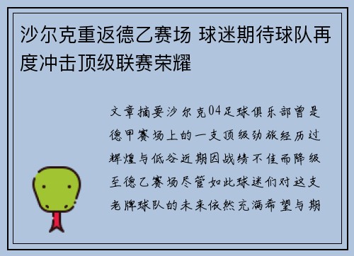 沙尔克重返德乙赛场 球迷期待球队再度冲击顶级联赛荣耀